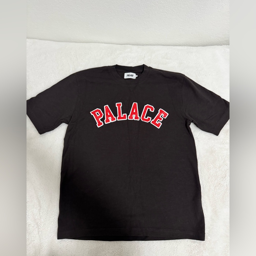 PALACE mens thick brown Tee with Red Logo